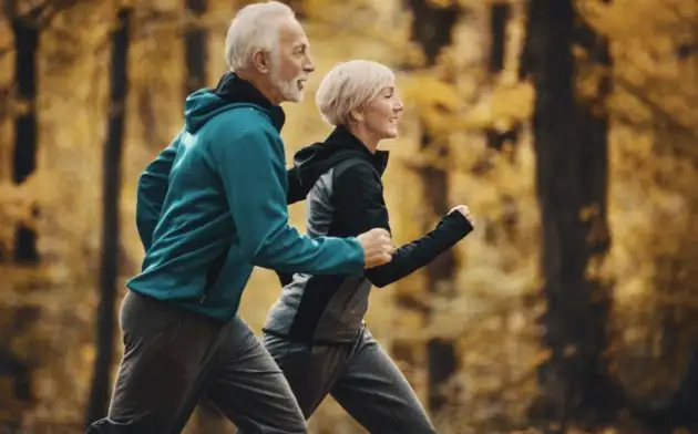 Чем год физкультуры полезен для здоровья пожилых людей