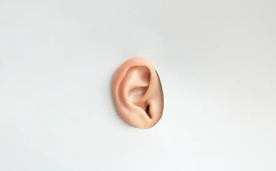 Российские ученые разработали протез человеческого уха с функцией восстановления слуха