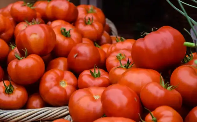 Microbiology Spectrum: Диета на основе томатов снижает риск ожирения
