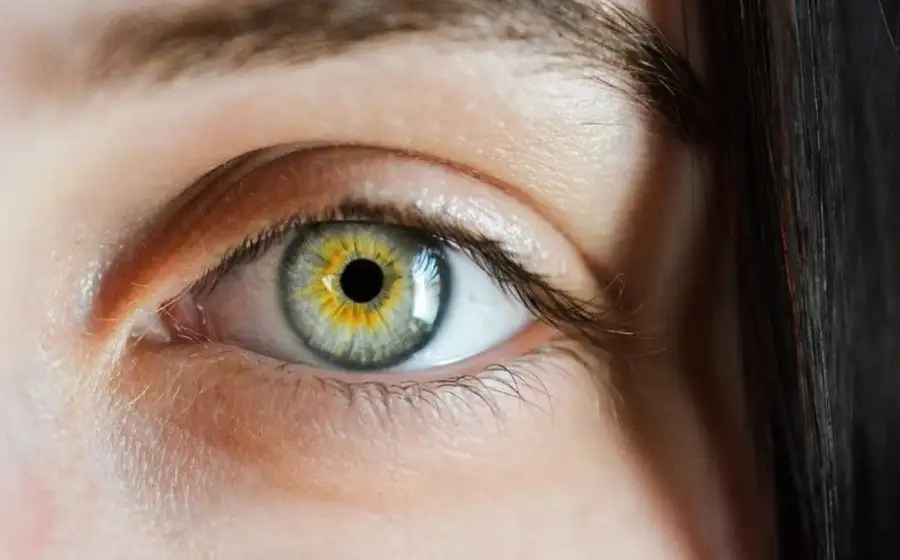 Ученые выявили связь между заболеваниями глаз и продолжительностью жизни