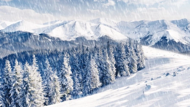 Изменение климата увеличивает вероятность сильных снегопадов во Французских Альпах