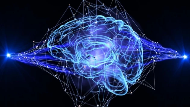 Нано-нейросеть обучается в режиме реального времени подобно человеческому мозгу
