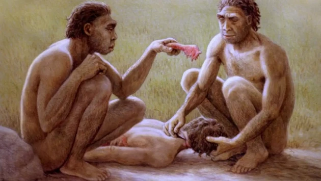 Ученые опровергли утверждения, которые касались устоев древнего вида Homo Naledi