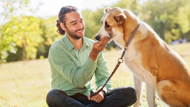 Биотехнологическая компания Loyal создала препарат, продлевающий жизнь собак