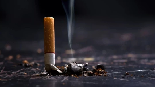 Ученые выяснили, что из-за сигаретных окурков мир теряет 186 млрд долларов за 10 лет
