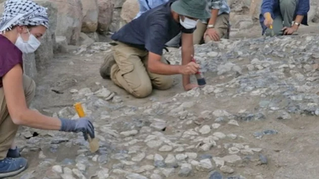 Во время раскопок в Турции обнаружен бивень слона, украшенный рисунком сфинкса