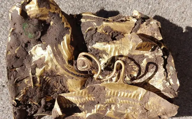 В Чехии на свекольном поле нашли древнее поясное украшение из золота