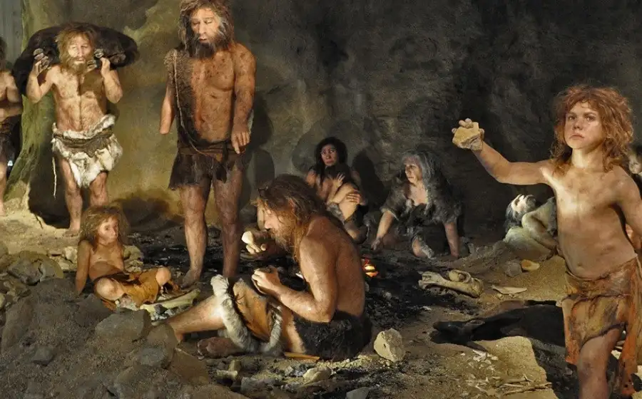 Ученые рассказали, какой пищей питались неандертальцы