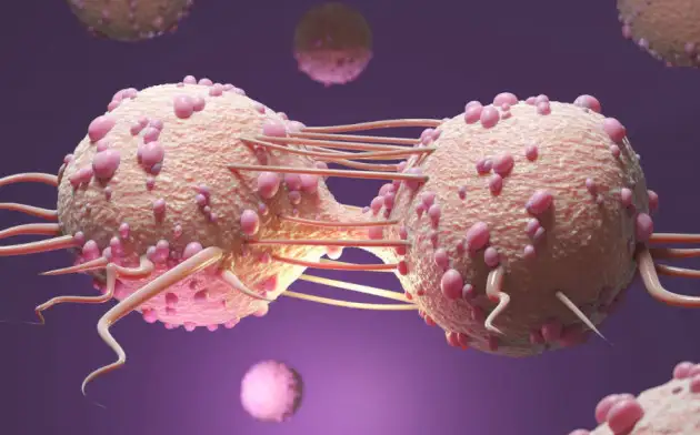 eLife: раковые клетки прячутся от иммуннитета внутри других клеток рака