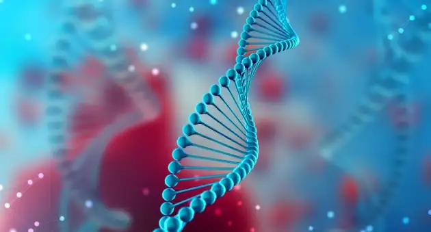 Учёные научились манипулировать цифровыми данными, хранящимися в ДНК