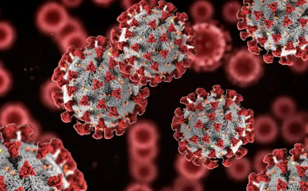 Учёные выявили главное оружие вируса SARS-CoV-2 против иммунитета