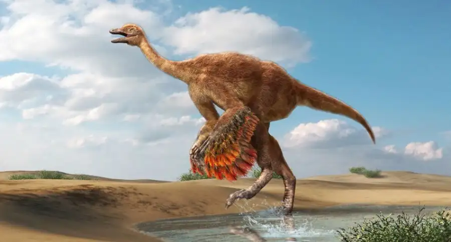 PLOS One: в США обнаружили останки страусоподобного динозавра весом 800 кг