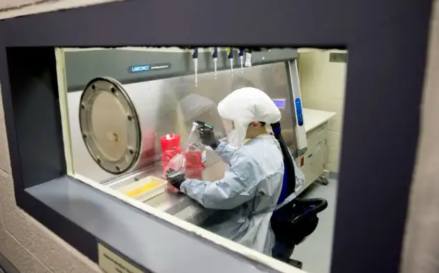 Science Daily: Бостонский университет проверят из-за создания коронавируса с летальностью 80%