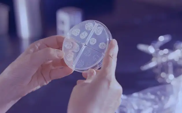 Компания Cemvita представила микробов, которые могут вырабатывать дешёвый водород