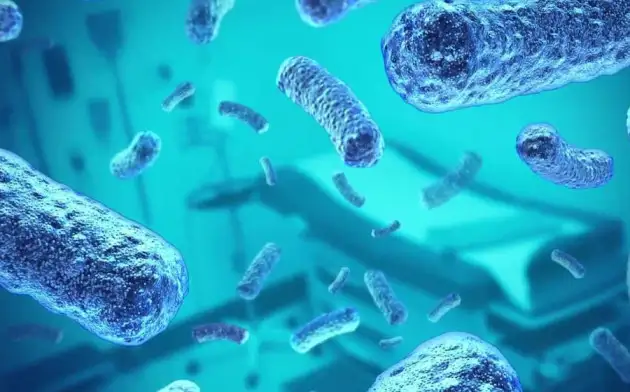 Китайские микробиологи создали бионическую батарею из сообщества морских бактерий