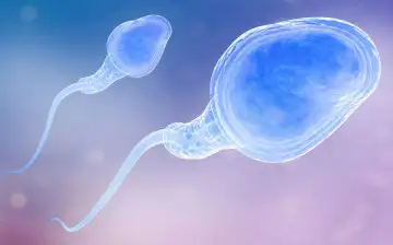 Progrès en Urologie: COVID-19 снижает подвижность сперматозоидов