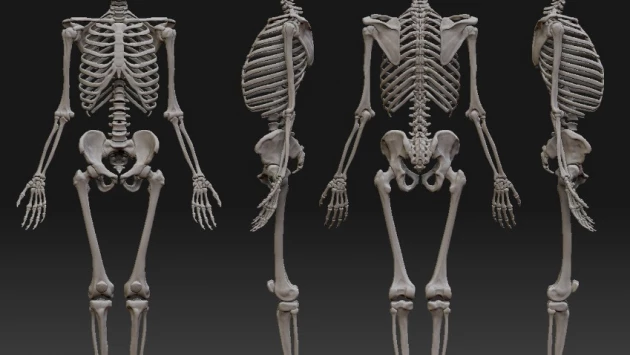 Ученые ПНИПУ разработали систему для регенерации костей человека