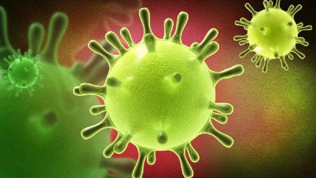 Корейские ученые заявили о новых опасных последствиях коронавируса