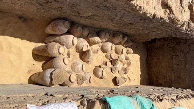 В гробнице царицы Египта хранились кувшины с вином 5000-летней выдержки
