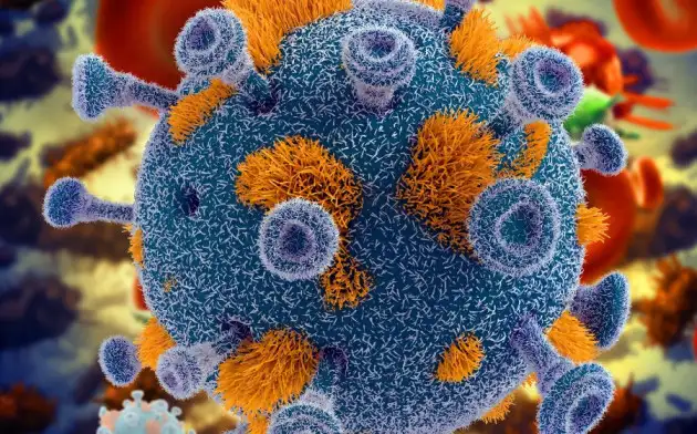 Вирус геморрагической лихорадки опасен для человека так же, как ВИЧ