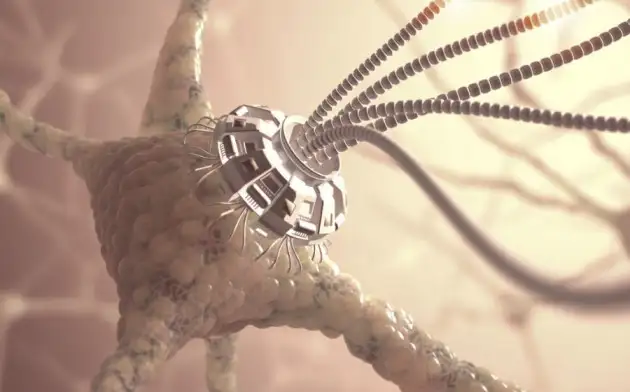 Инженеры Корнеллского университета разработали "мозги" для медицинских микророботов