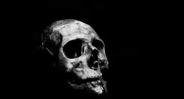 Китайские археологи обнаружили череп человека в возрасте около миллиона лет