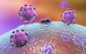 Учёные из Стэнфорда: коронавирус после выздоровления депонируется в жировой ткани