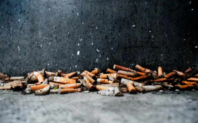 Tobacco Control: запрет ментоловых сигарет ускоряет отказ от табака