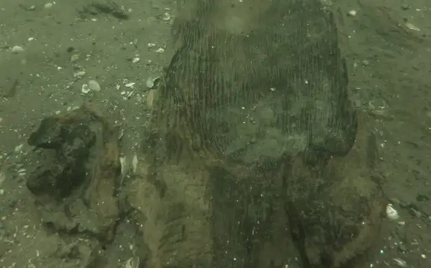 В Висконсине археологи обнаружили 3000-летнее каноэ