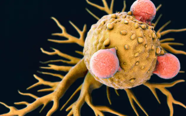 Британские ученые предложили использовать против рака самособирающиеся молекулы