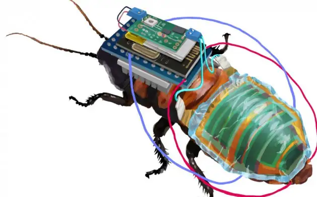 В Японии создали дистанционно управляемых тараканов-киборгов