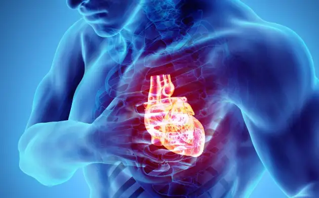 JAHA: Аутоиммунное заболевание повышает риск смерти после сердечного приступа на 15%
