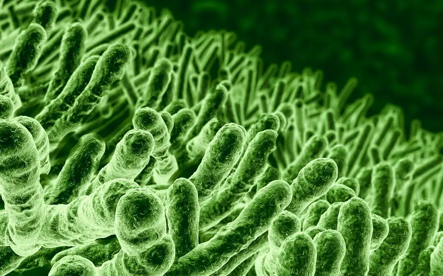 Микробиологи в Хьюстоне создали управляемую живую материю из искусственных бактерий