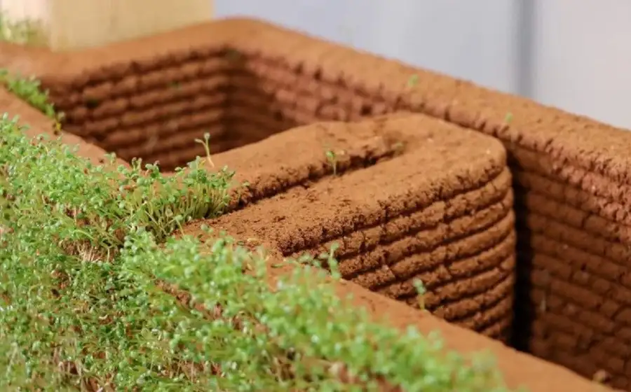 Технология 3D-печати почвой позволяет выращивать растения на стенах