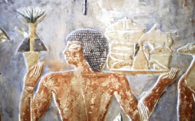 Египетские археологи обнаружили в древнем некрополе сыр возрастом 2600 лет