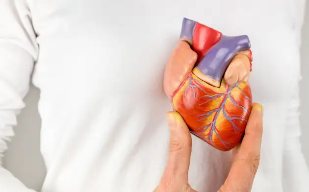 Разработка учёных СПбПУ позволяет печатать прототип сердца пациента перед операцией