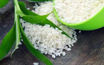 Японские ботаники из Университета Окаяма создали нетоксичную версию риса