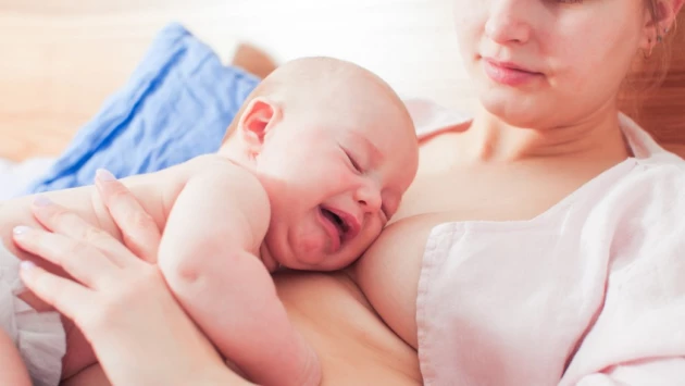 Nature: Ученые выяснили, почему плач младенца ускоряет выделение грудного молока