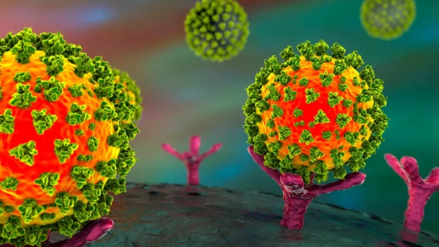 Сеченовский университет: найдены вирусы, которые помогут бороться с раком