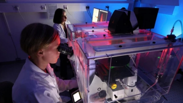 Впервые произведена 3D-печать нервных сетей "биочернилами" с живыми нейронами
