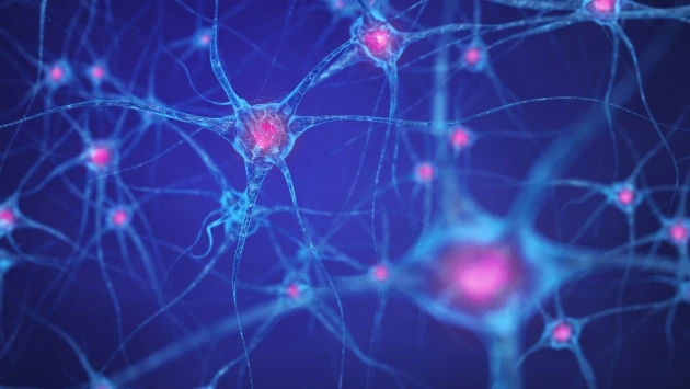 Ученые из МИСиС создали технологию для изучения нейронов мозга