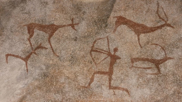 Древние люди в Намибии сделали целую галерею изображений животных