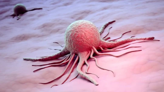 Красноярские учёные разработали новый способ разрушения раковых клеток