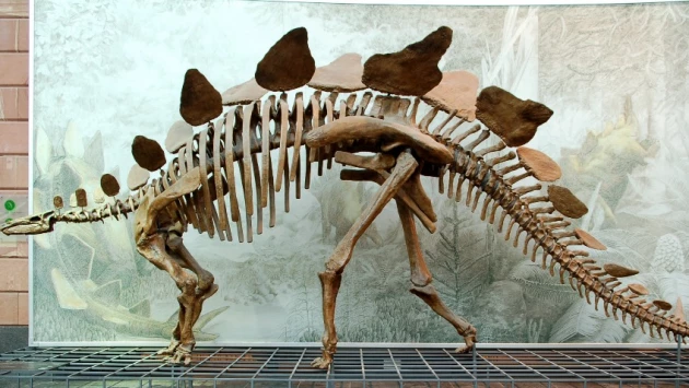 В Китае найдены останки двух динозавров возрастом 130 миллионов лет